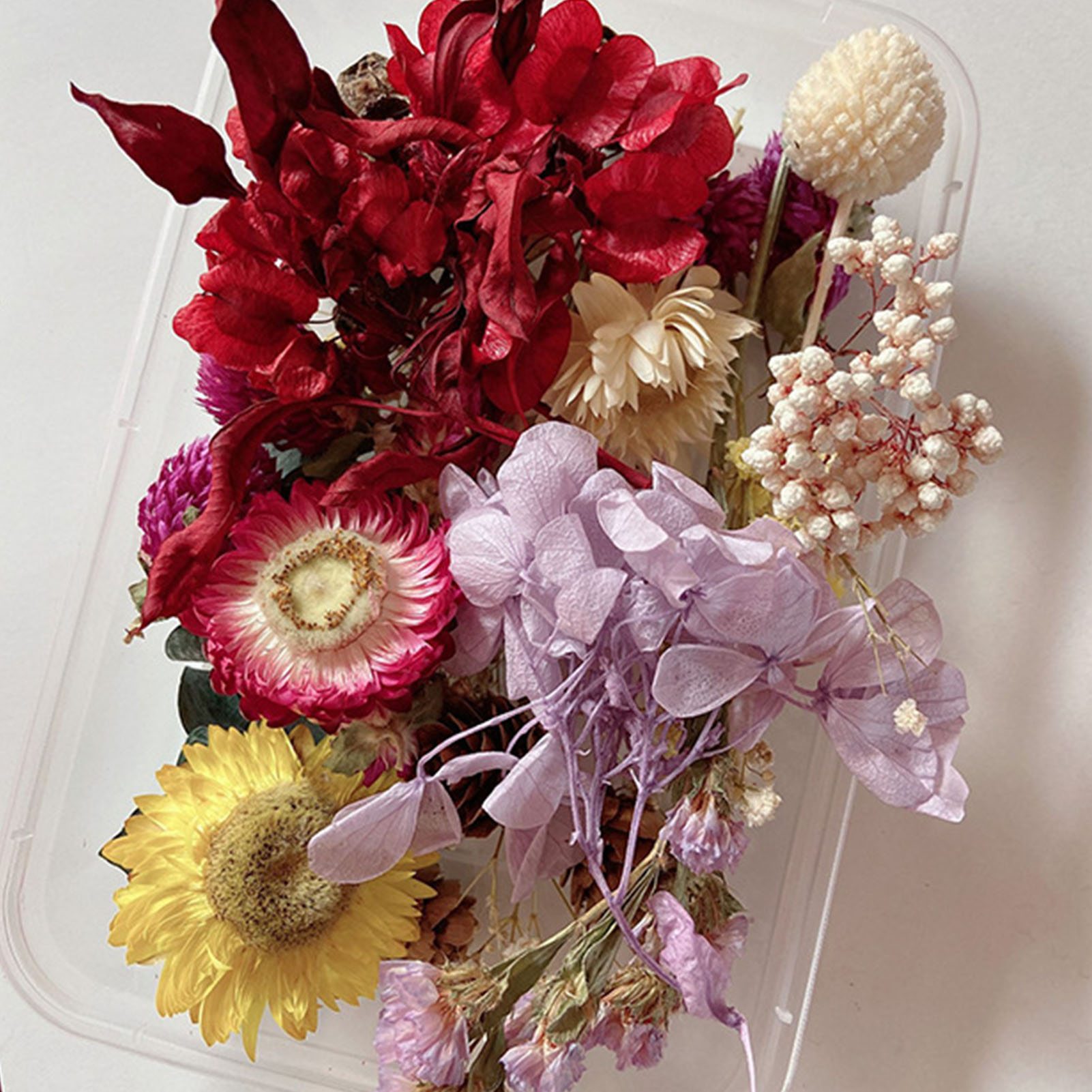 Natural Dried Flower Kit Press - Scented Candle Set ulasan dan harga