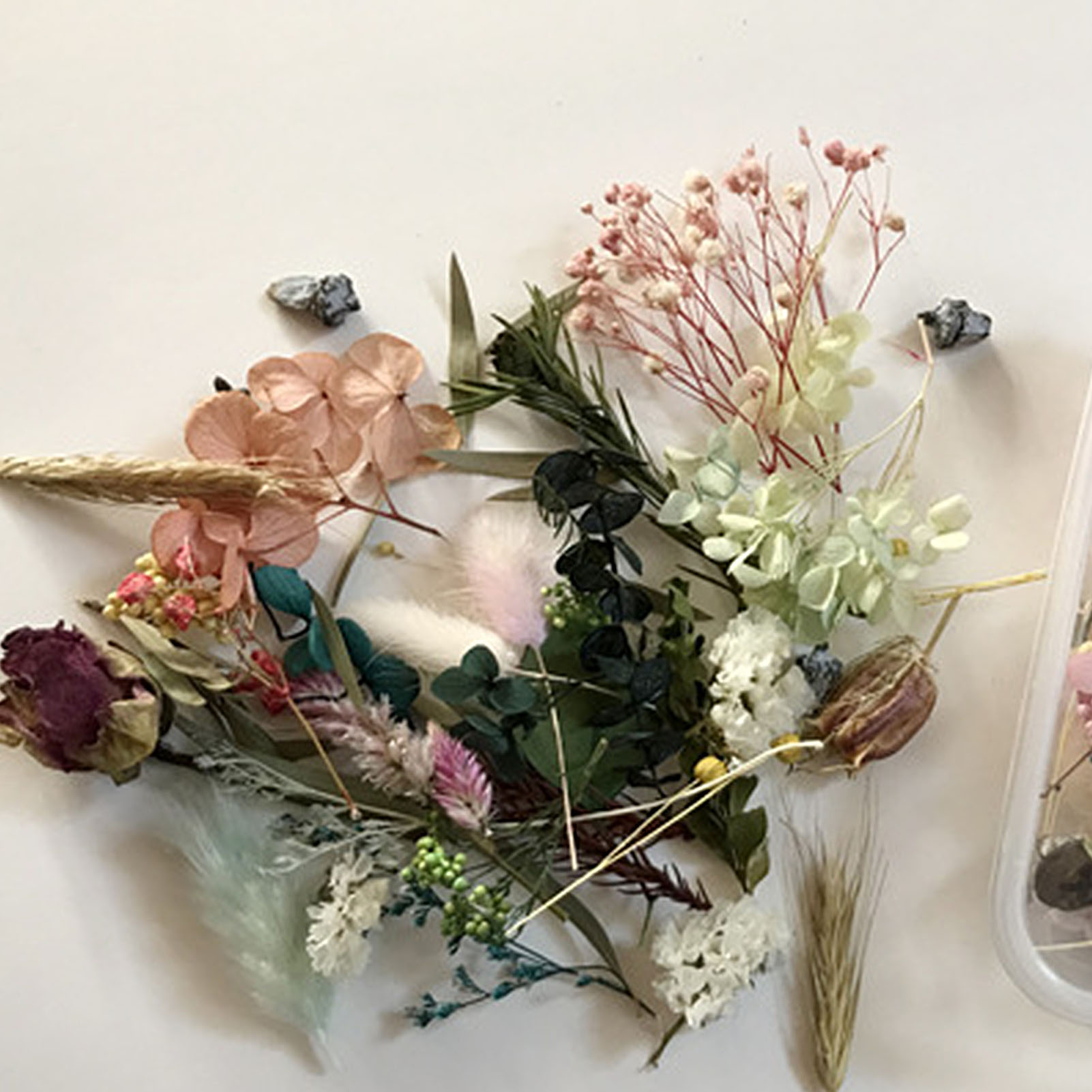 Natural Dried Flower Kit Press - Scented Candle Set ulasan dan harga