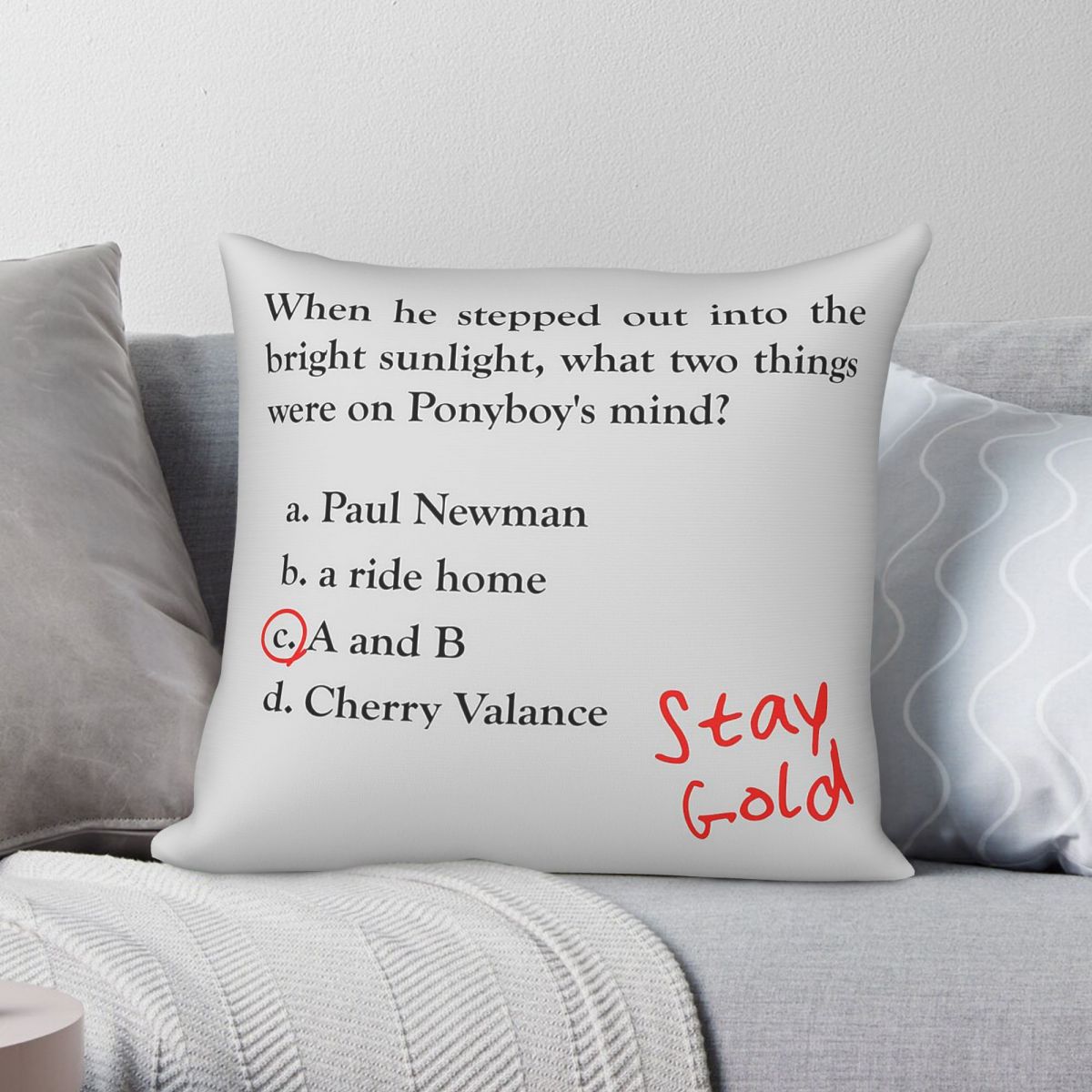Outsiders Ponyboy Quiz Questio - Home Decor Quiz ulasan dan harga
