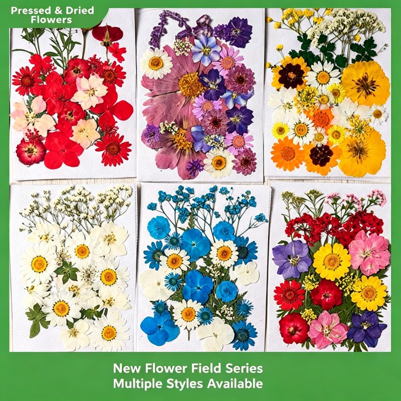 35Pcs10 Set of Dried Flowers a - Scented Candle Set ulasan dan harga