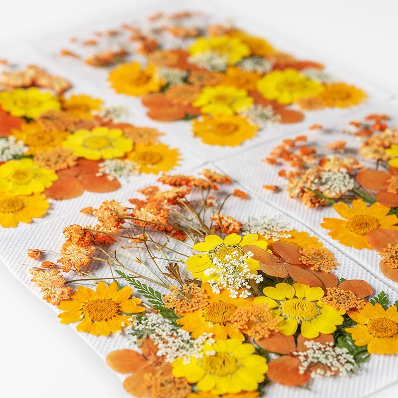 35Pcs10 Set of Dried Flowers a - Scented Candle Set ulasan dan harga