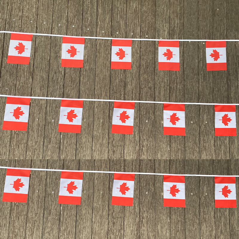 xvggdg   20pcs/set    Canada   - Home Decor Canada ulasan dan harga