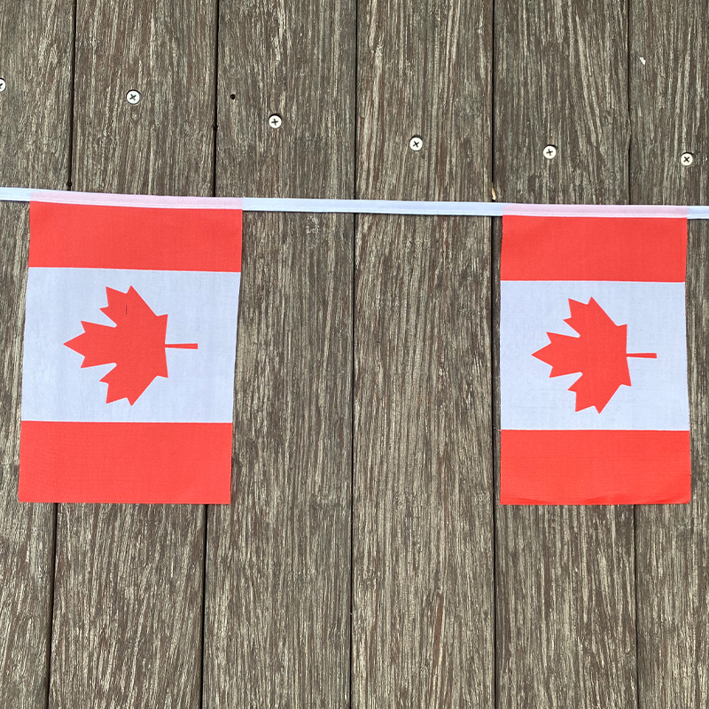 xvggdg   20pcs/set    Canada   - Home Decor Canada ulasan dan harga