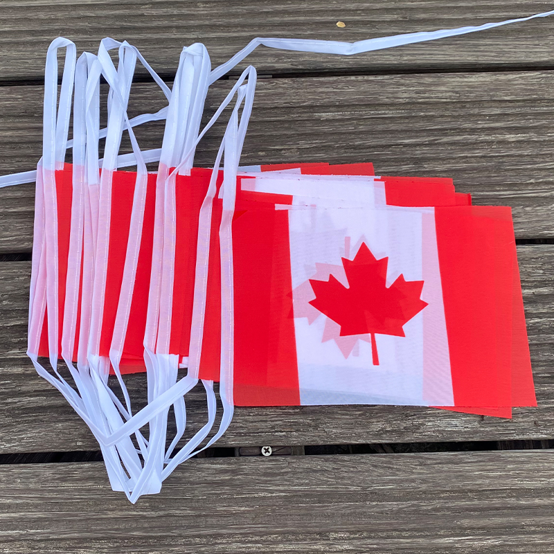 xvggdg   20pcs/set    Canada   - Home Decor Canada ulasan dan harga